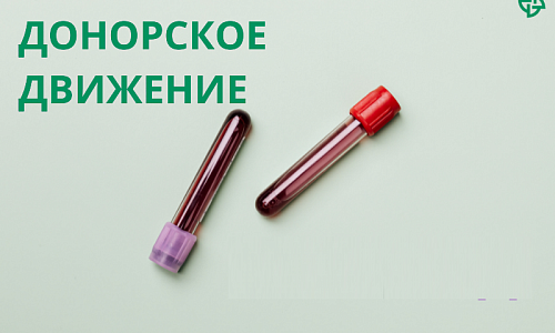 Стал известен график приема доноров в подмосковном центре крови в праздники